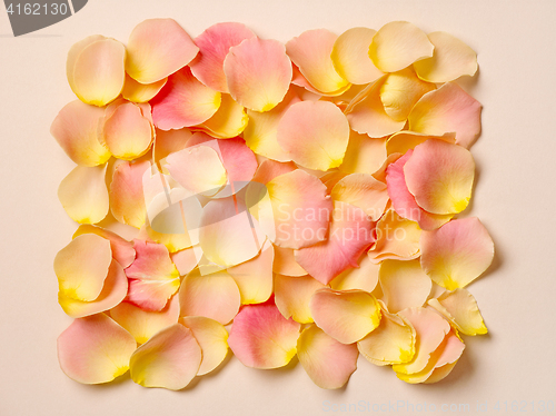 Image of pink rose petals on beige paper background