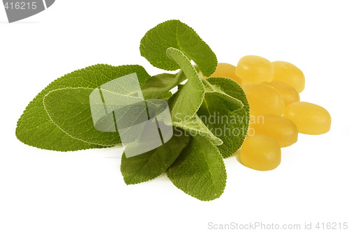 Image of Sage cough drops