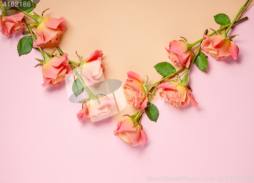 Image of pink roses on colorful paper background