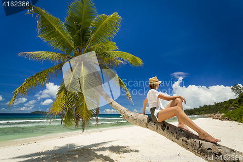 Image of Relaxing On Palmtree