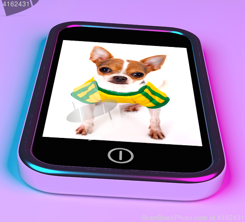 Image of Cute Chihuahua Dog On Mobile Phone