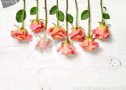 Image of pink roses on white wooden table