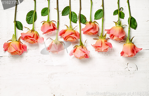 Image of pink roses on white wooden table