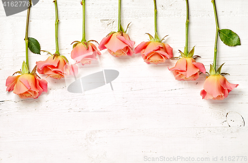 Image of pink roses on white wooden table