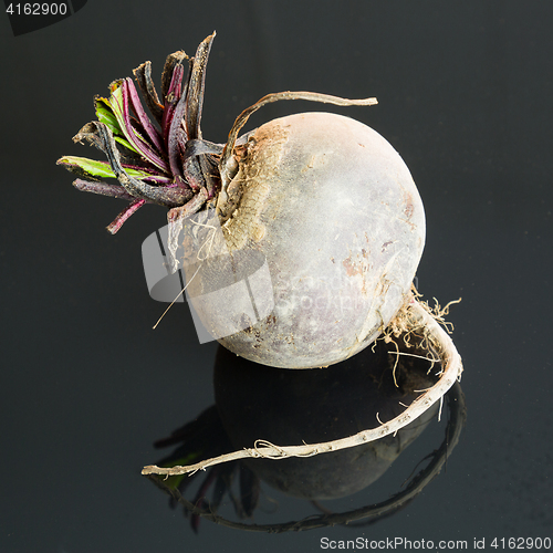 Image of Three farm fresh raw beetroot