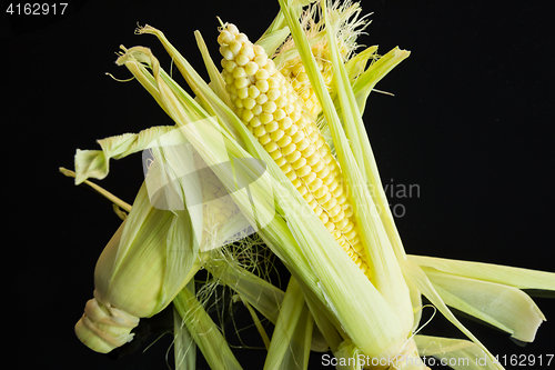 Image of Fresh corn on the cob over a black background