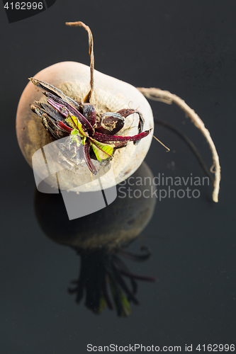 Image of Three farm fresh raw beetroot