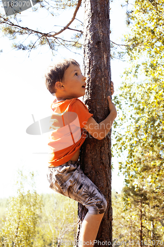 Image of little cute real boy climbing on tree hight, outdoor lifestyle c