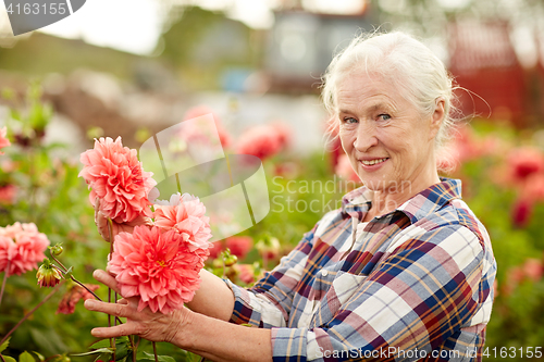 Image of senior woman with flowers at summer garden