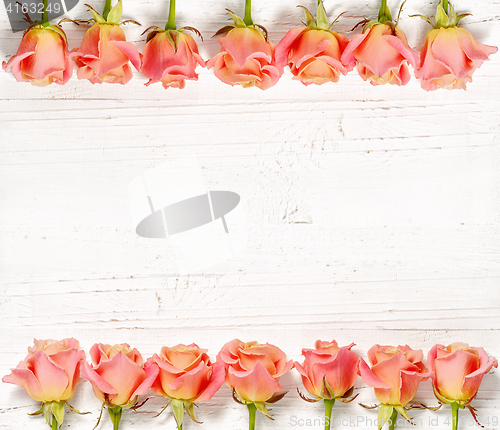 Image of pink roses on white wood background