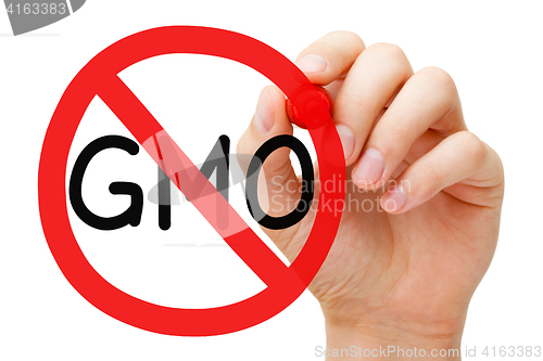 Image of GMO Prohibition Sign Concept