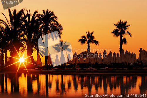 Image of Sunset and palms in resort