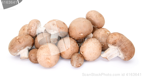 Image of Heap of chestnut mushrooms showing caps and stalks