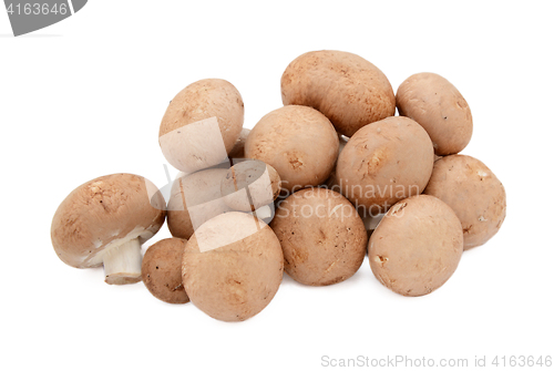 Image of Uneven pile of fresh chestnut mushrooms with brown caps