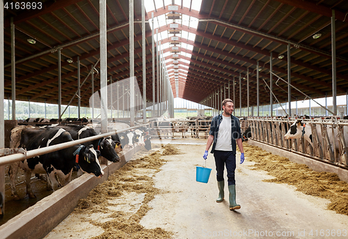 Image of cows and man with bucket of hay walking at farm