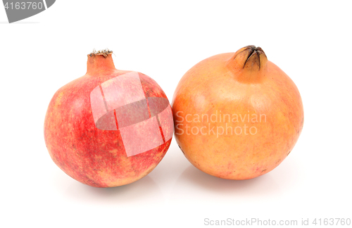 Image of Two pomegranates, red and yellow