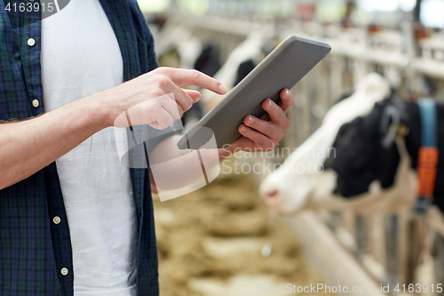 Image of man with tablet pc and cows on dairy farm