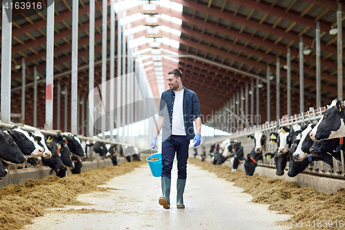 Image of cows and man with bucket of hay walking at farm