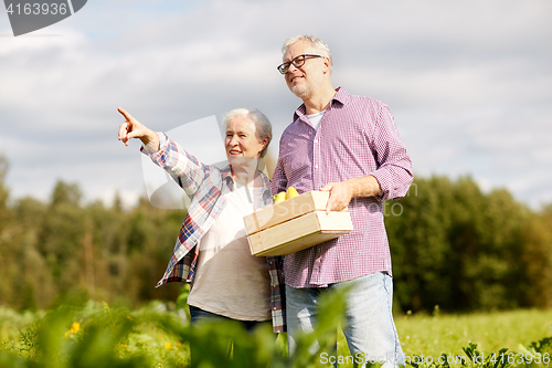 Image of senior couple with box of vegetables on farm
