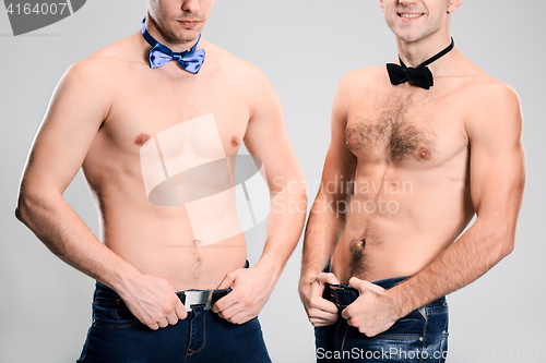 Image of The portrait of two fashion men with naked torso wearing butterfly tie