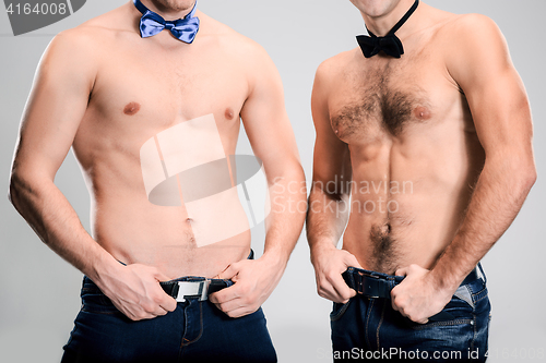 Image of The portrait of two fashion men with naked torso wearing butterfly tie