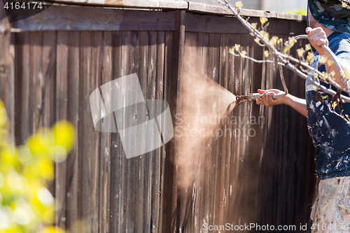 Image of Professional Painter Spraying Yard Fence with Stain