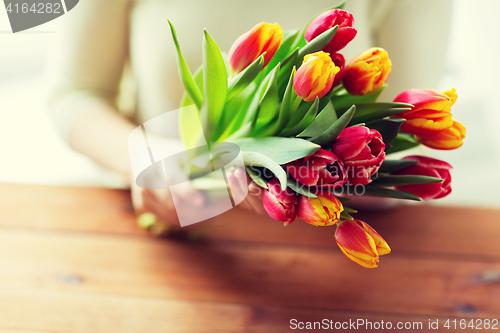 Image of close up of woman holding tulip flowers