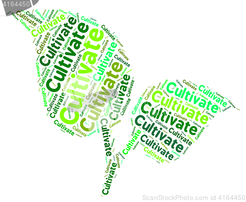 Image of Cultivate Word Means Words Cultivation And Text