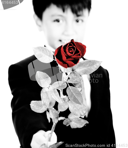 Image of Boy Holding Up A Red Rose For A Girl