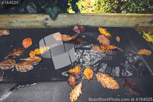 Image of Autumn leaves in a puddle after the rain