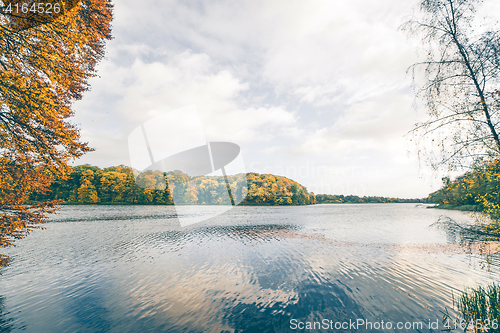 Image of Lake scenery in the fall with trees