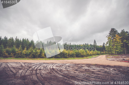 Image of Wheel tracks in a forest