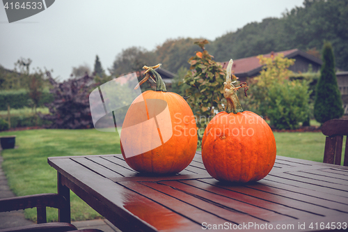 Image of Pumkins on a table in a garden