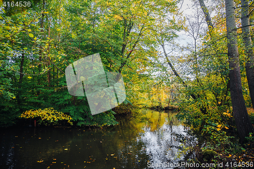 Image of Autumn colors on the trees near a river