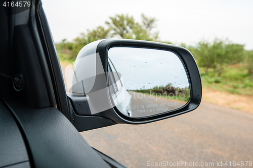 Image of Side rear mirror of car showing elephant herd passing the street