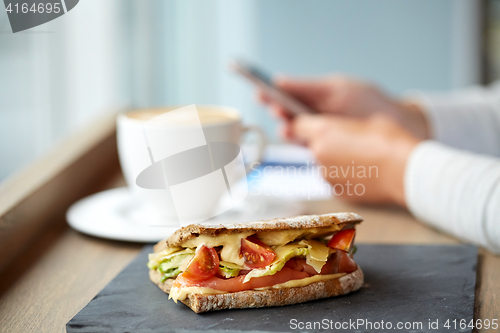 Image of salmon panini sandwich on stone plate at cafe