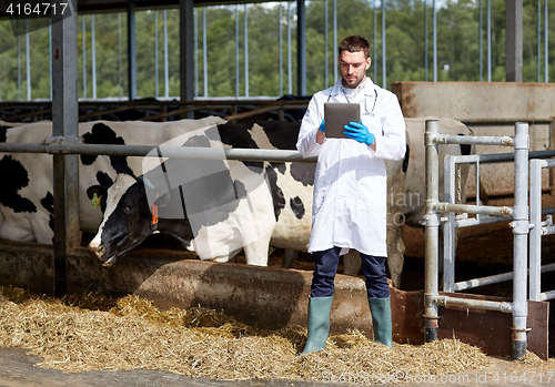 Image of veterinarian with tablet pc and cows on dairy farm