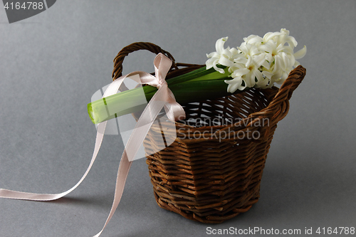 Image of Hyacintt with basket