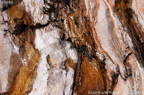 Image of Wet rock texture