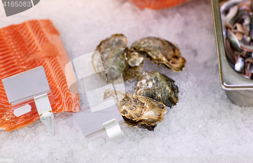 Image of salmon fish and oysters on ice at grocery stall