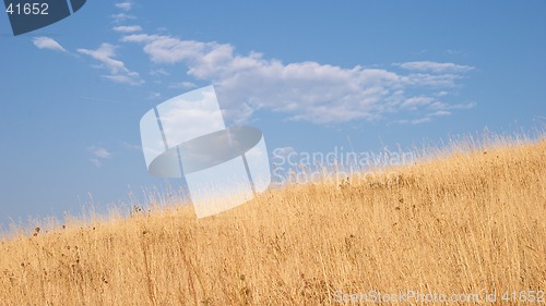 Image of Agrarian landscape, Valtrebbia, Italy