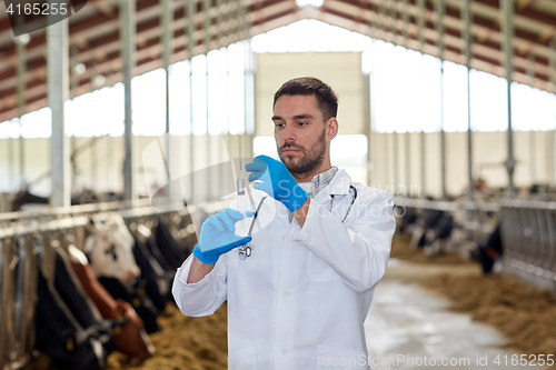 Image of veterinarian with syringe vaccinating cows on farm