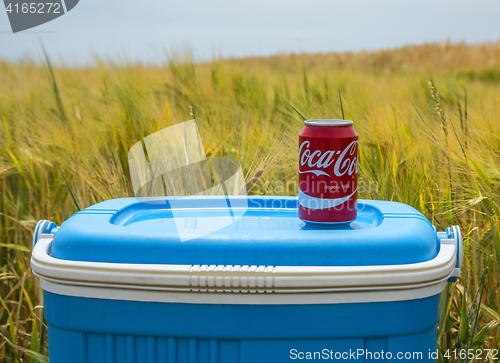 Image of Coca Cola Can in the Field - Tour de France 2015