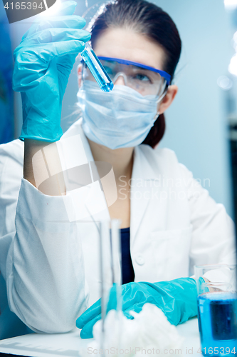 Image of Photo of working laboratory assistant