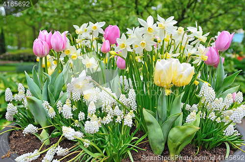 Image of Spring flowers in big vase