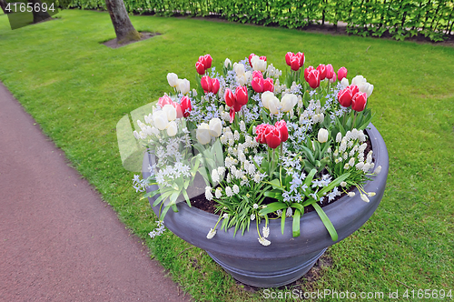 Image of Spring flowers in big vase