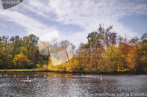 Image of Autumn scenery with colorful autumn trees