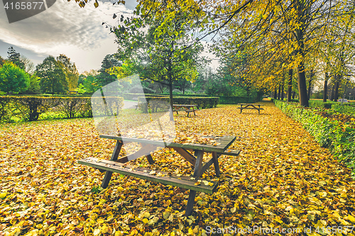 Image of Autumn leaves on a bench in a park