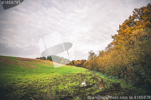 Image of Muddy field with a puddle in the fall