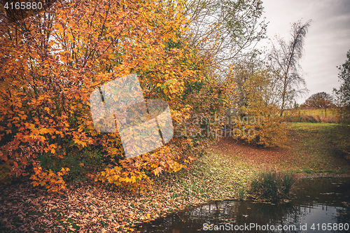 Image of Colorful trees in autumn colors by a lake